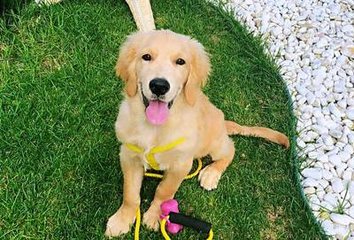 德扑圈官方网站