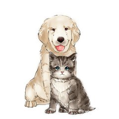 德扑圈俱乐部推荐