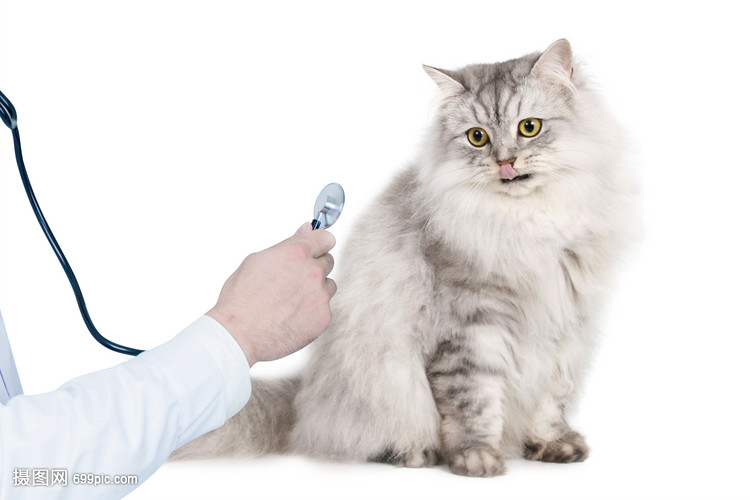 德扑圈iOS安卓下载