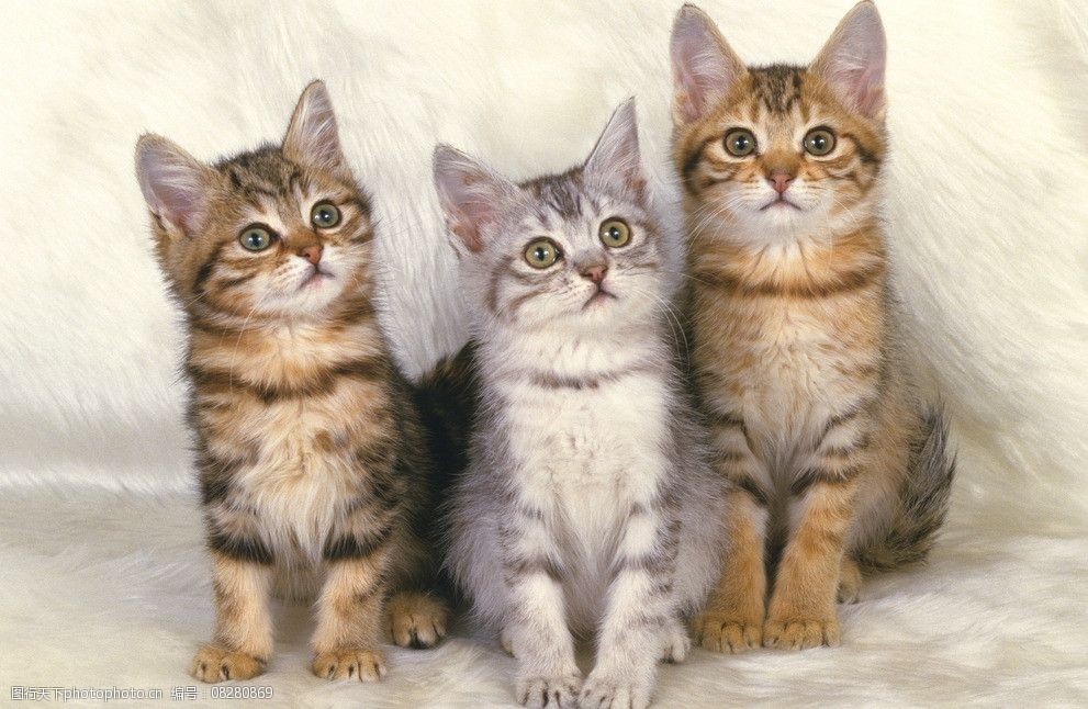 真人德扑圈俱乐部客服推荐