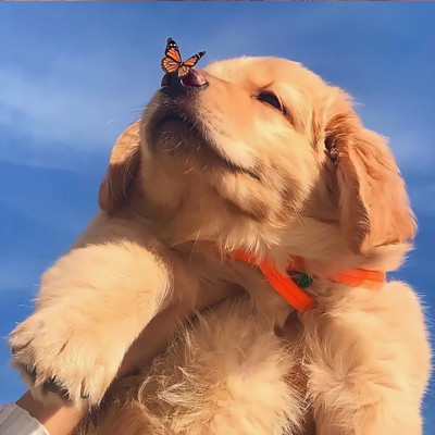 hhpoker德州俱乐部客服