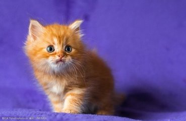 hhpoker德州俱乐部客服