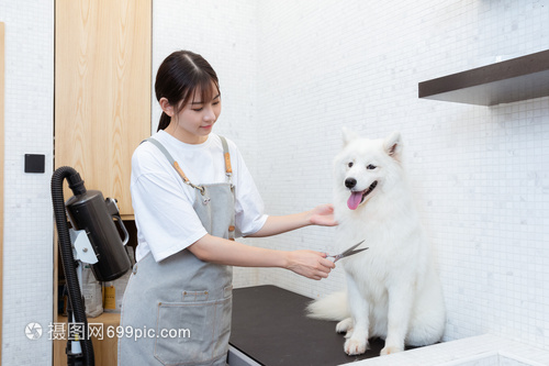 德扑圈iOS安卓下载