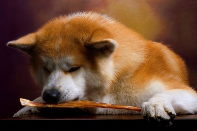 hhpoker德州俱乐部客服