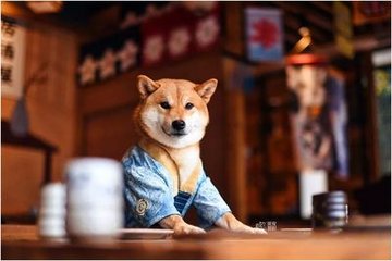 德扑圈客服微信