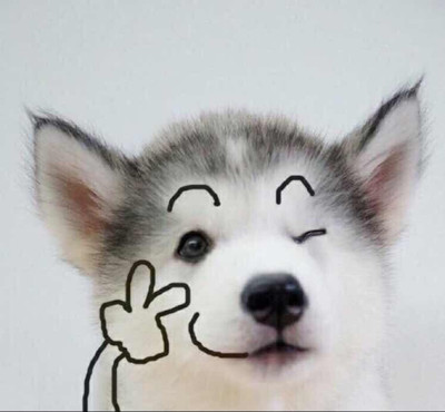 德扑圈客服微信