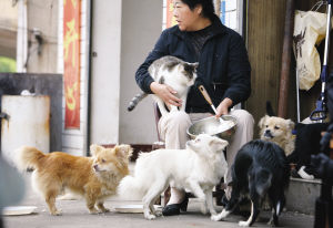 hhpoker德扑线上客服