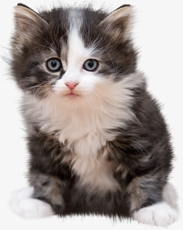 德扑圈官方客服